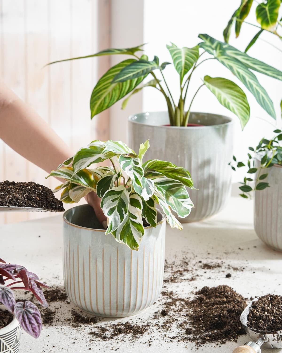 LE TAUCI Fluted Ceramic Planters Set of 3 – 8.3/7 / 5.7 in Star White Reactive Cylinder Indoor Plant Pots with Drainage Plug & Mesh, Glossy Stoneware Flower Pots for Succulents Herbs