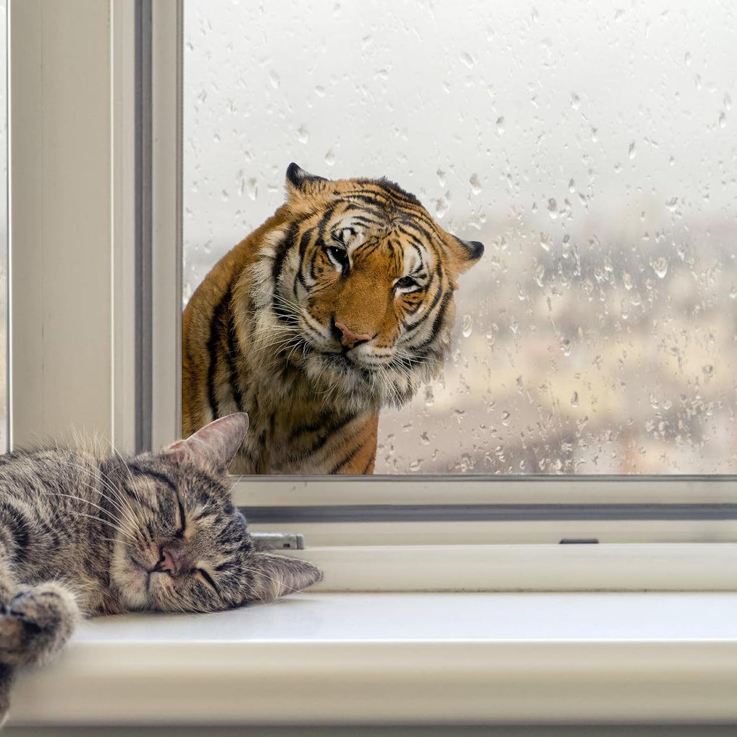 Gentle Tiger Wall Stickers & Decals - Peel & Stick, Removable Funny Tiger Window Stickers for Farmhouse Bedroom, Living Room & Shop Windows