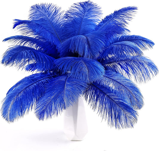 THARAHT Blue Ostrich Feathers 12pcs Natural Bulk 10-12Inch 25cm-30cm for Crafts Wedding Party Centerpieces Easter Gatsbi and Home Decoration Feathers