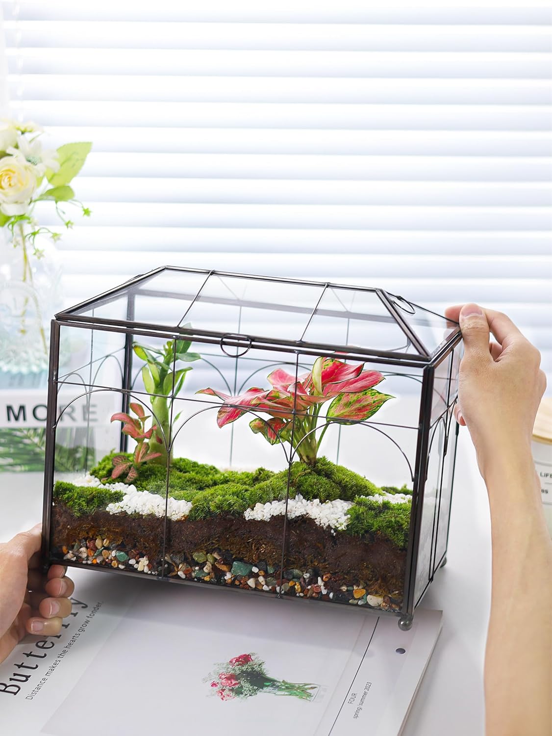 Handmade Glass Planter Terrarium with Lid, Indoor Tabletop Centerpiece Display Box Modern Decor DIY Gift Plant Terrarium Container for Succulent Cacti Air Plants Flower (Black)