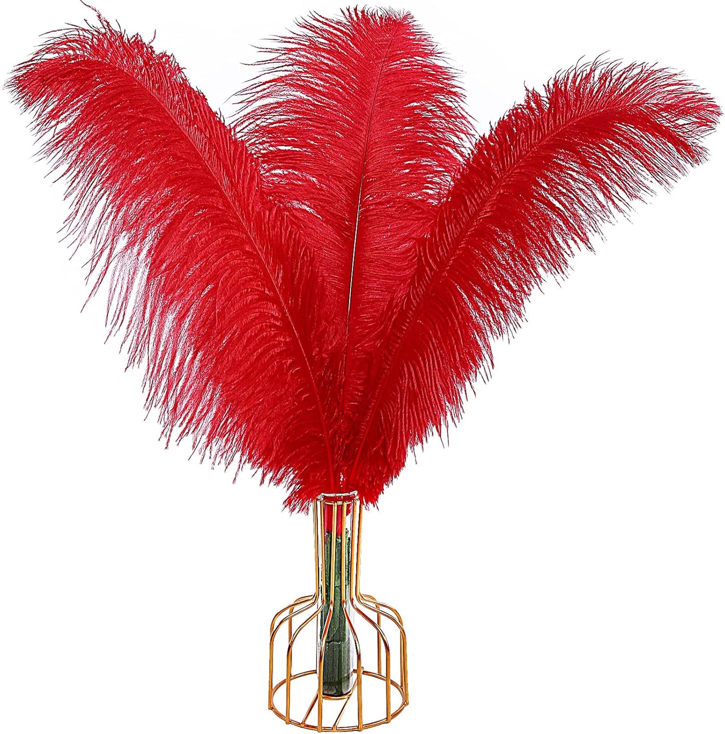 THARAHT Red Ostrich Feathers 12pcs Large Natural Bulk 16-18Inch 40cm-45cm for Wedding Party Centerpieces Halloween and Home Decoration Feathers