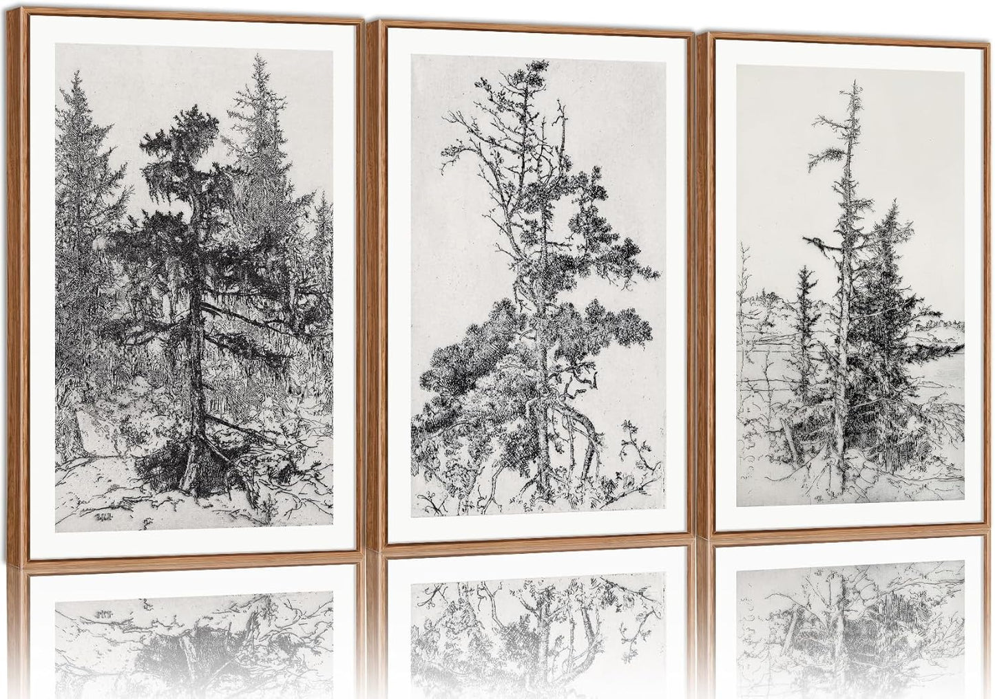 SIGNINART Vintage Tree Framed Wall Art Set , Black and White Antique Sketchbook Forest Painting, Wilderness Illustration Art Print , Retro Pine Tree Landscape Drawing Wall Decor for Living Room, Bedroom, Office (16"x24"x3)