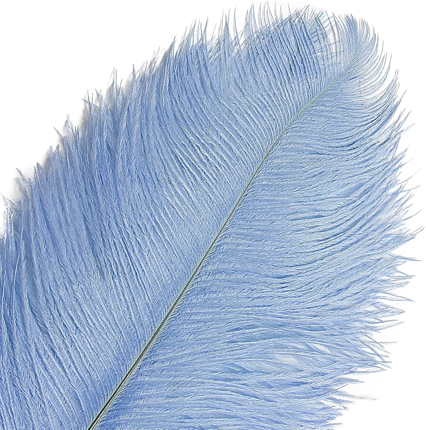THARAHT Baby Blue Ostrich Feathers 12pcs Large Natural Bulk 12-14Inch 30cm-35cm for Wedding Party Centerpieces Easter Gatsbi and Home Decoration Feathers