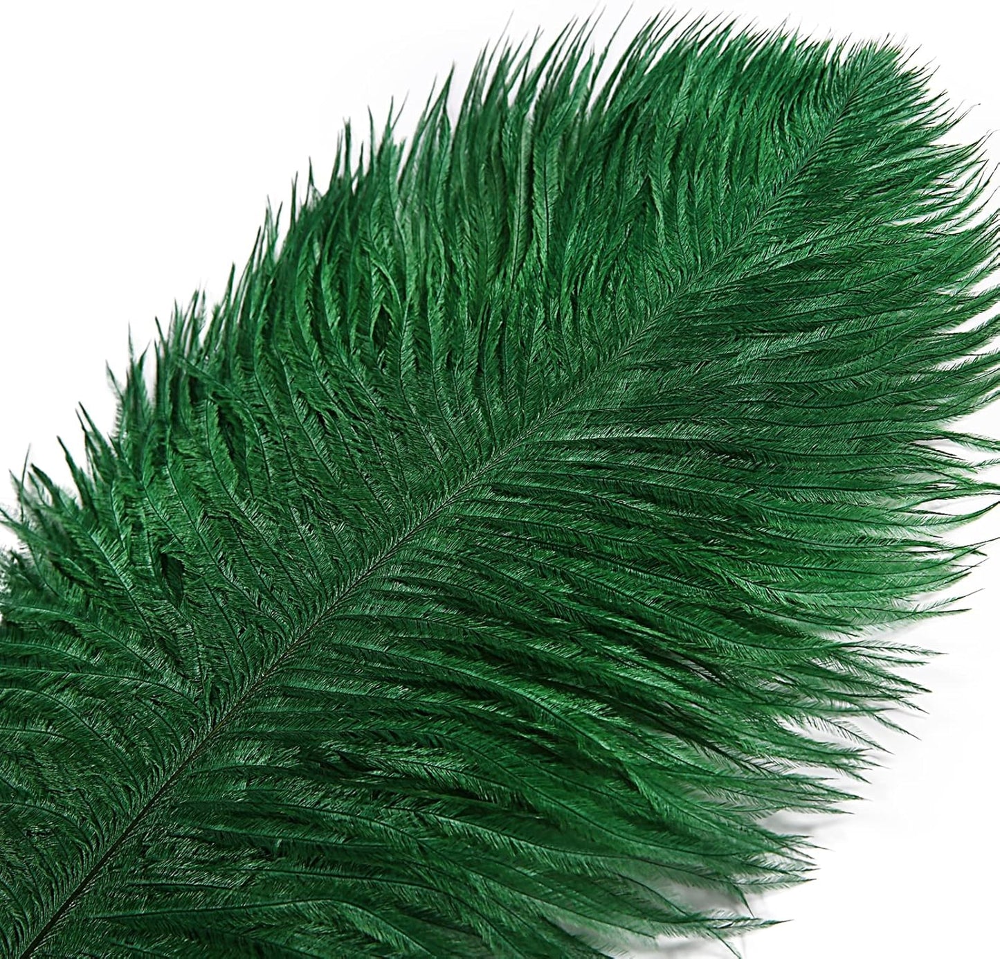 THARAHT Blackish Green Ostrich Feathers 12pcs Large Natural Bulk 12-14Inch 30cm-35cm for Wedding Party Centerpieces Mardi Gras Decoration Feather