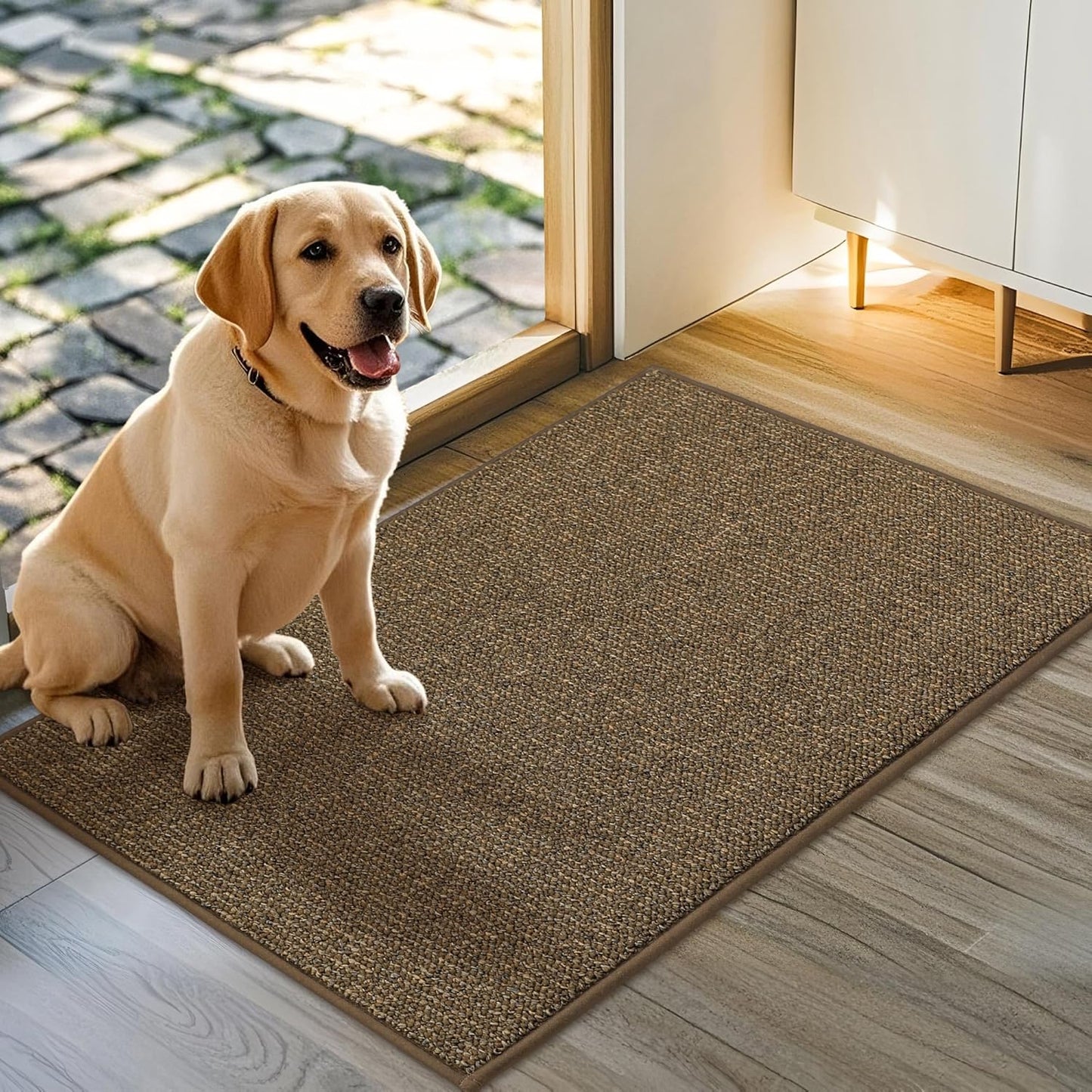 JSEI Dirt Trapper Door Mat 24"x36" Non-Slip Washable Entrance Mat, Dog Doormats, Absorbent & Fade-Resistant Floor Mats, Low Profile Welcome Mats for Entryway, Front Door, and Inside Entrance, Brown